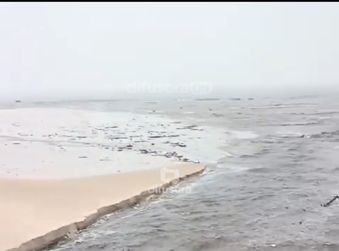 Governo antecipa campanha de combate à dengue para prevenir óbitos