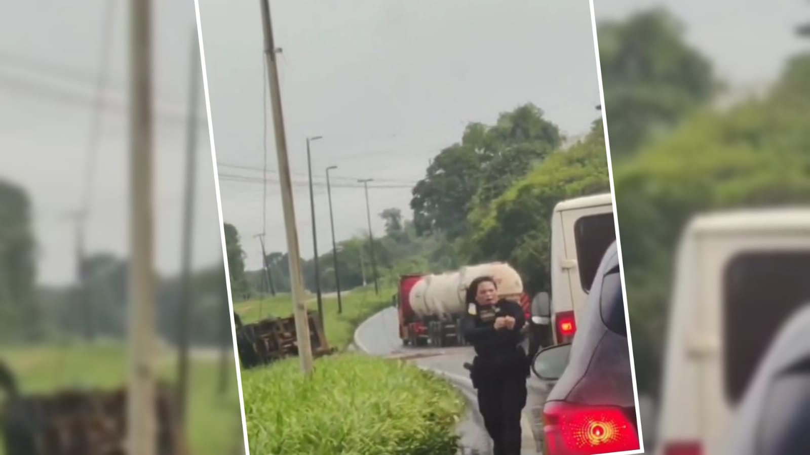 Carro-forte é atacado por abelhas em São Luís