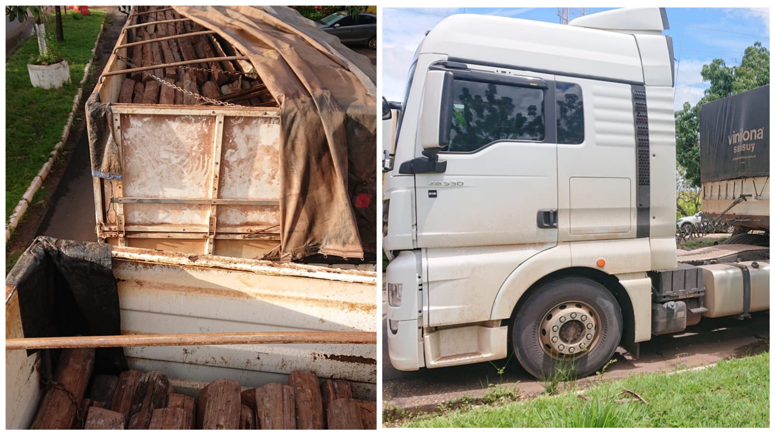 PRF apreende 84m³ de madeira ilegal na BR-010