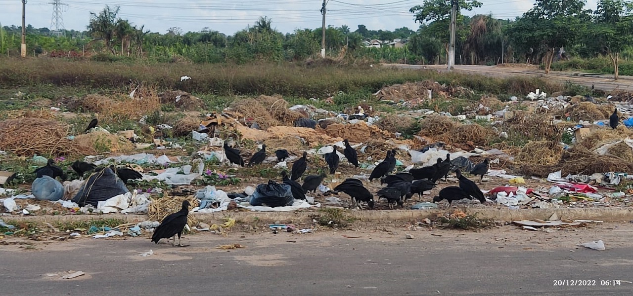 Moradores reclamam de lixão em Paço do Lumiar