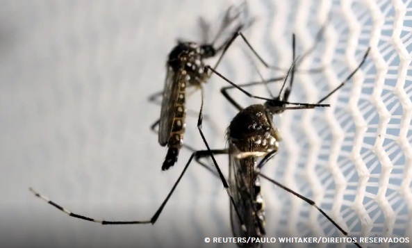 Foto: Reprodução/Agência Brasil