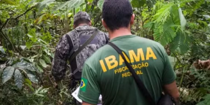Foto: Vinícius Mendonça/Ibama
