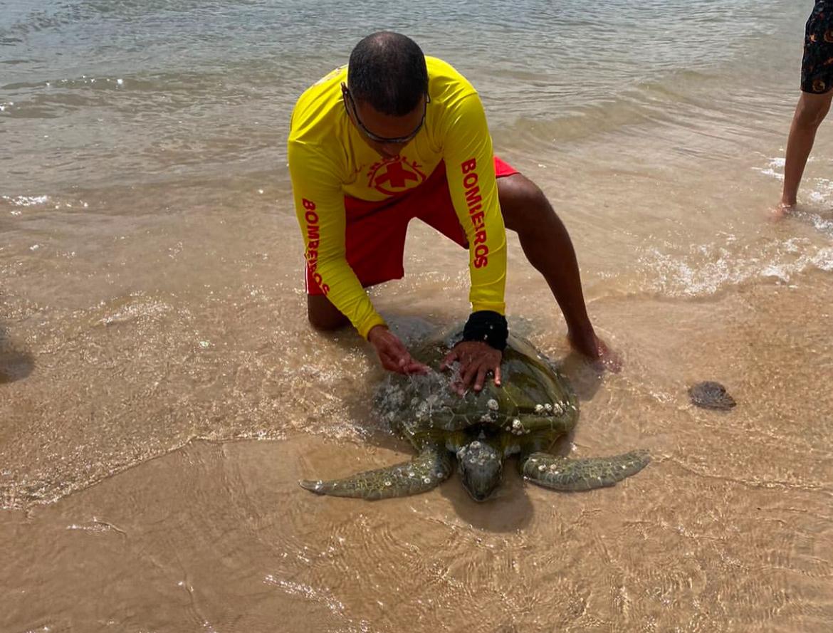 Clássico Maremoto termina com confusão, expulsões e um gol para cada lado