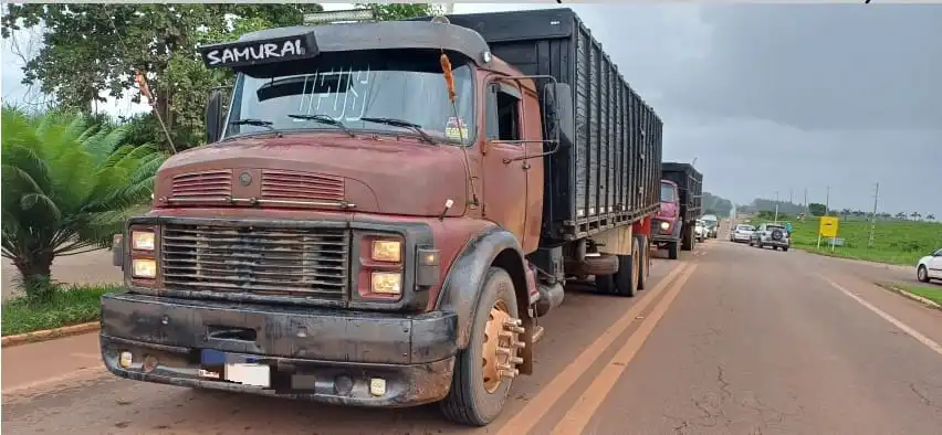 Carregamentos irregulares de animais são interceptados em Açailândia pela PRF