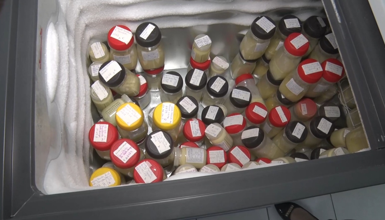 Foto: reprodução TV Difusora 