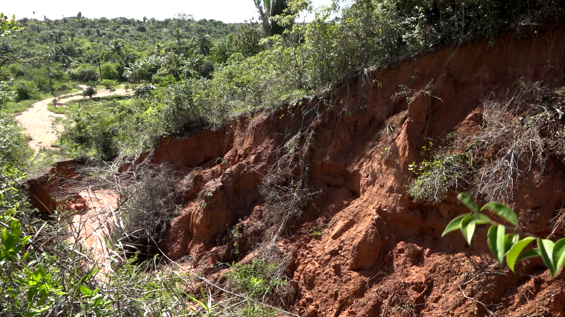Foto; reprodução TV Difusora 