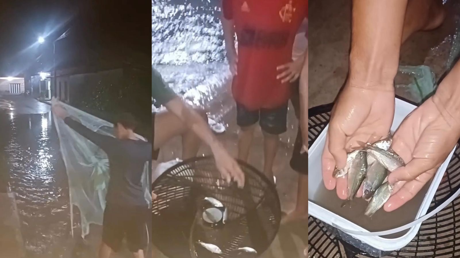 Vídeo: crianças pescam em poça no meio da rua após chuva em Chapadinha