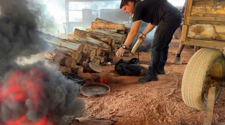 Polícia incinera R$ 25 milhões em entorpecentes na Grande Ilha