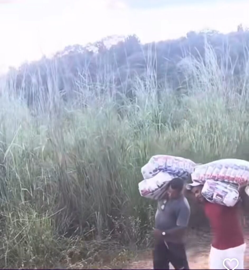 Caminhão tomba na BR-226 em Barra do Corda e tem carga saqueada