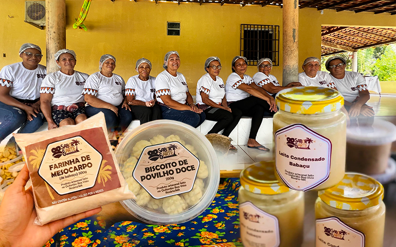 Guardadas pelo Babaçu: mulheres transformam o fruto em renda e resistência no Quilombo Boa Vista