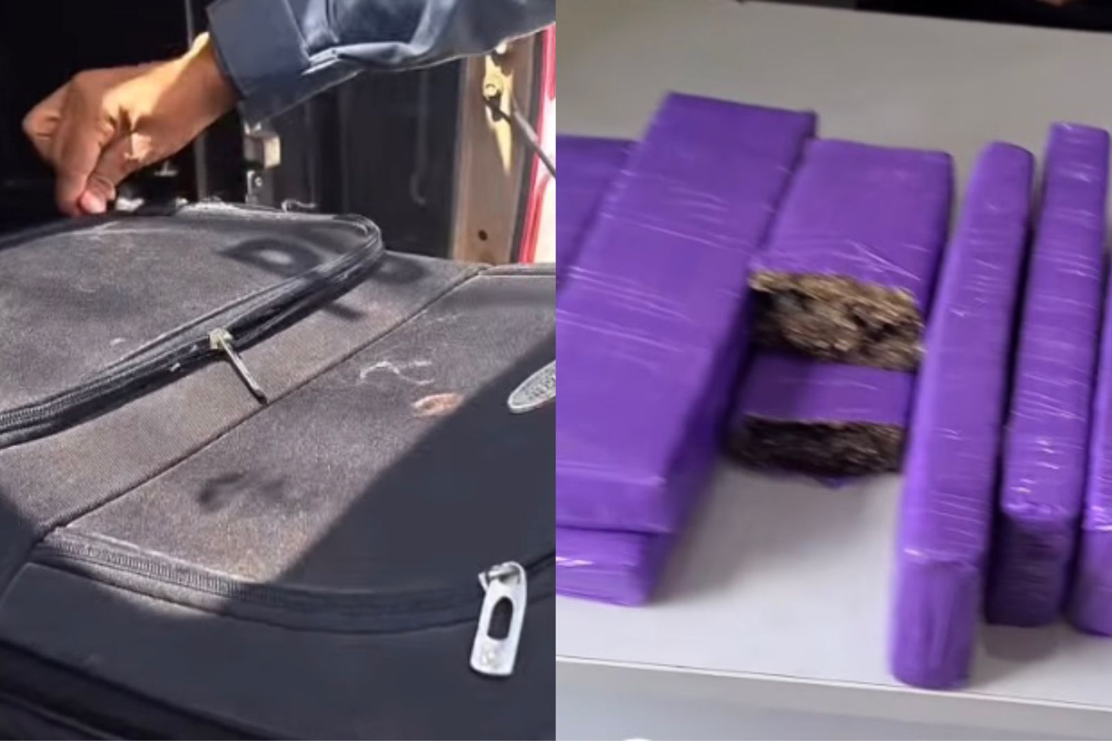 Adolescente é apreendida após ser flagrada com maconha dentro de mala em ônibus estadual