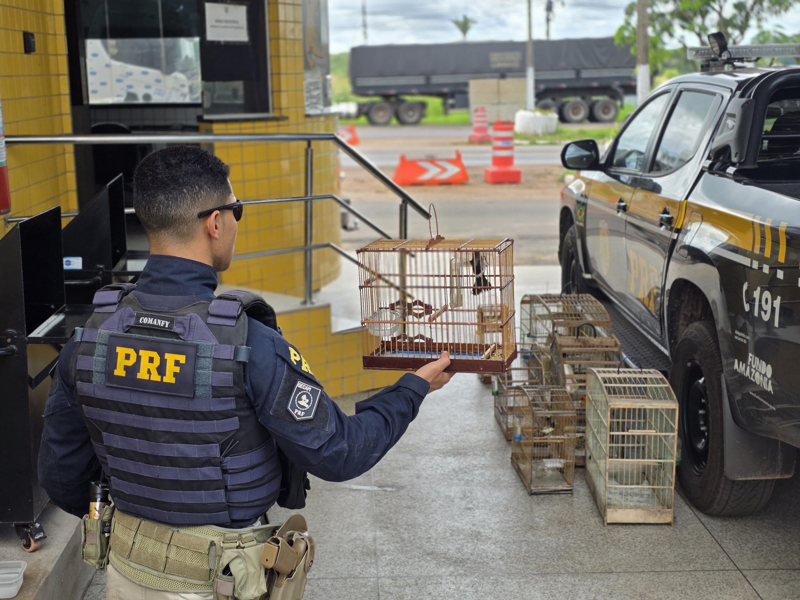 Foto: Reprodução/PRF