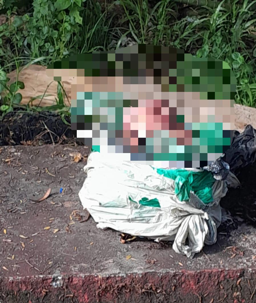 Feto é encontrado em estado de decomposição em rodoviária de Vitória do Mearim