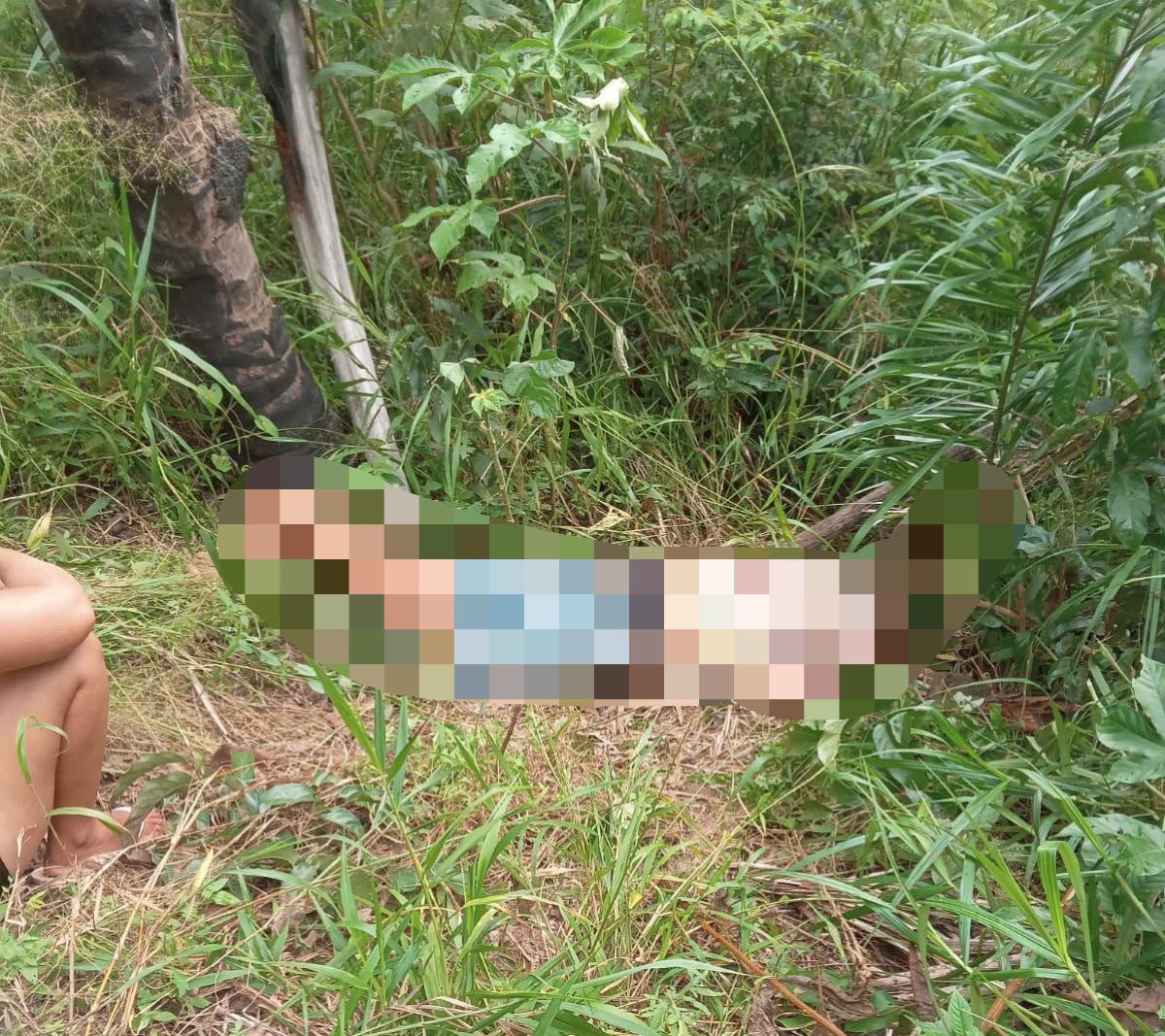 Corpo é encontrado em matagal na Vila Samara, em São Luís