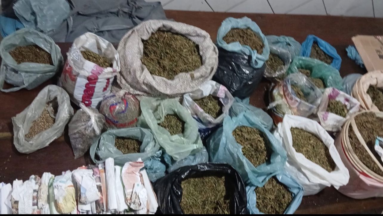Operação apreende 12 quilos de maconha drogas em Grajaú