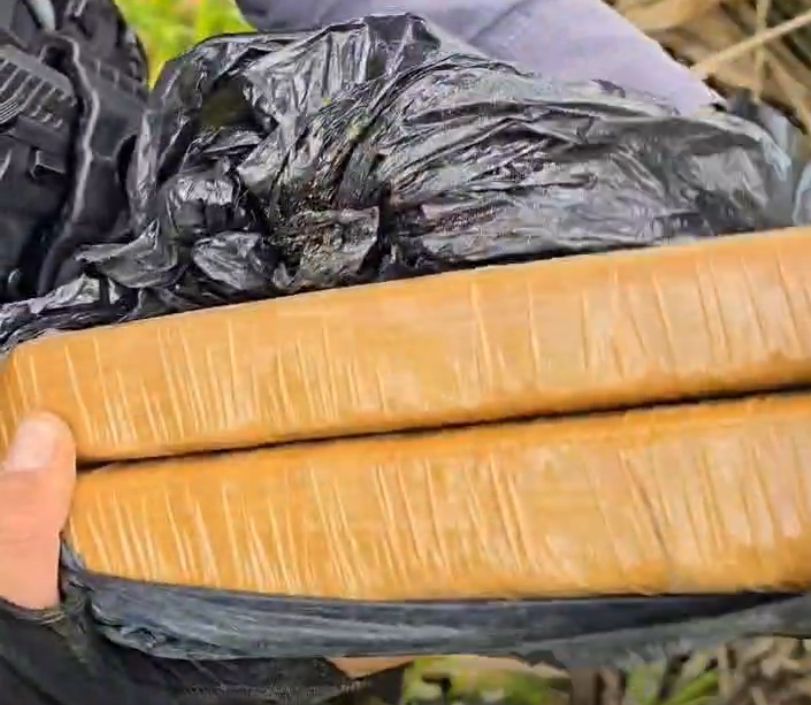 Polícia apreende 2 kg de maconha durante ronda em área de mata na Raposa