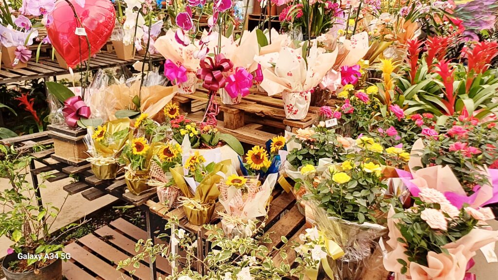 Procon/MA encontra variação de até 375,24% no preço de flores em pesquisa para o Dia das Mães