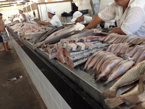 Projeto de Lei Estadual prevê o monitoramento de metais pesados em pescados e mariscos no Maranhão