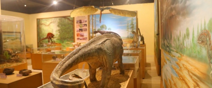 Dia dos Museus: confira um guia com espaços que ajudam a preservar a História