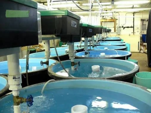 Câmara aprova projeto que libera uso de água da chuva e do mar