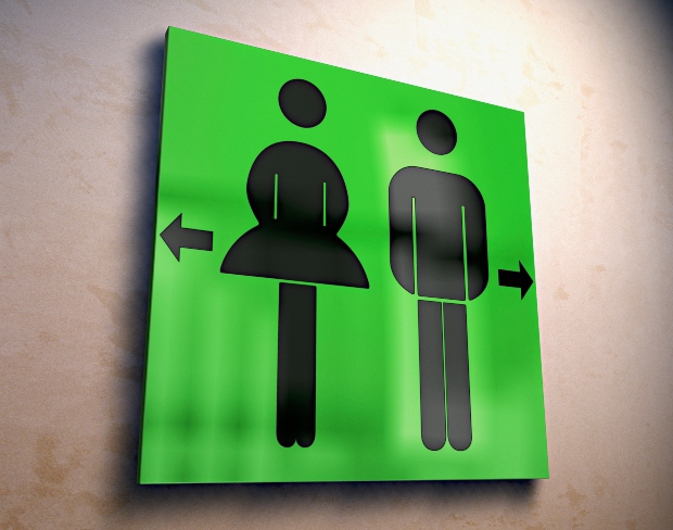 Defensoria Pública repudia PL que veta o acesso de mulheres trans a banheiros femininos em São Luís