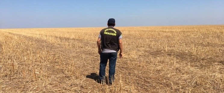 Foto: divulgaçã/ GOV MA