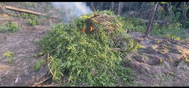 Foto: divulgação/ PC-MA