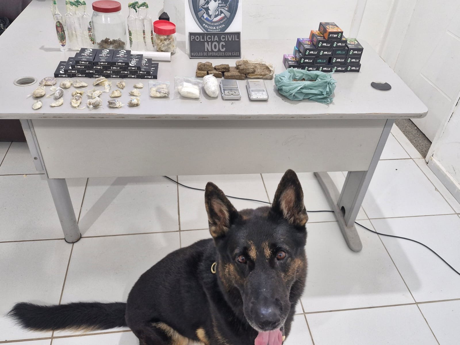 Foto: reprodução/Polícia Civil 