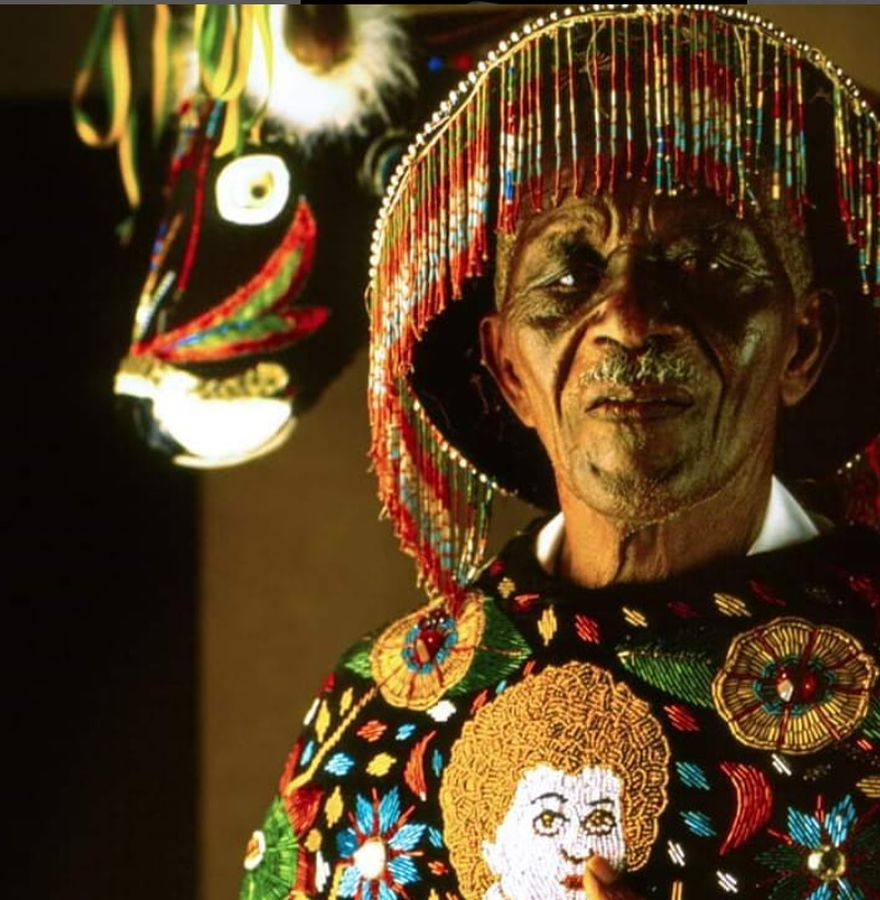 Boi de Leonardo Foto: reprodução