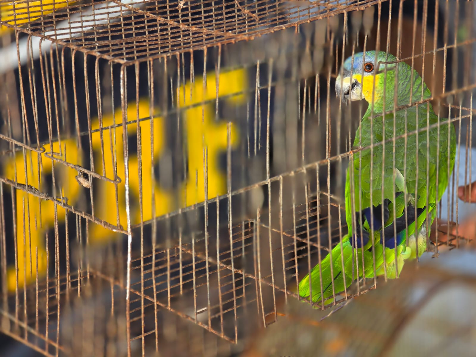 Foto: divulgação PRF