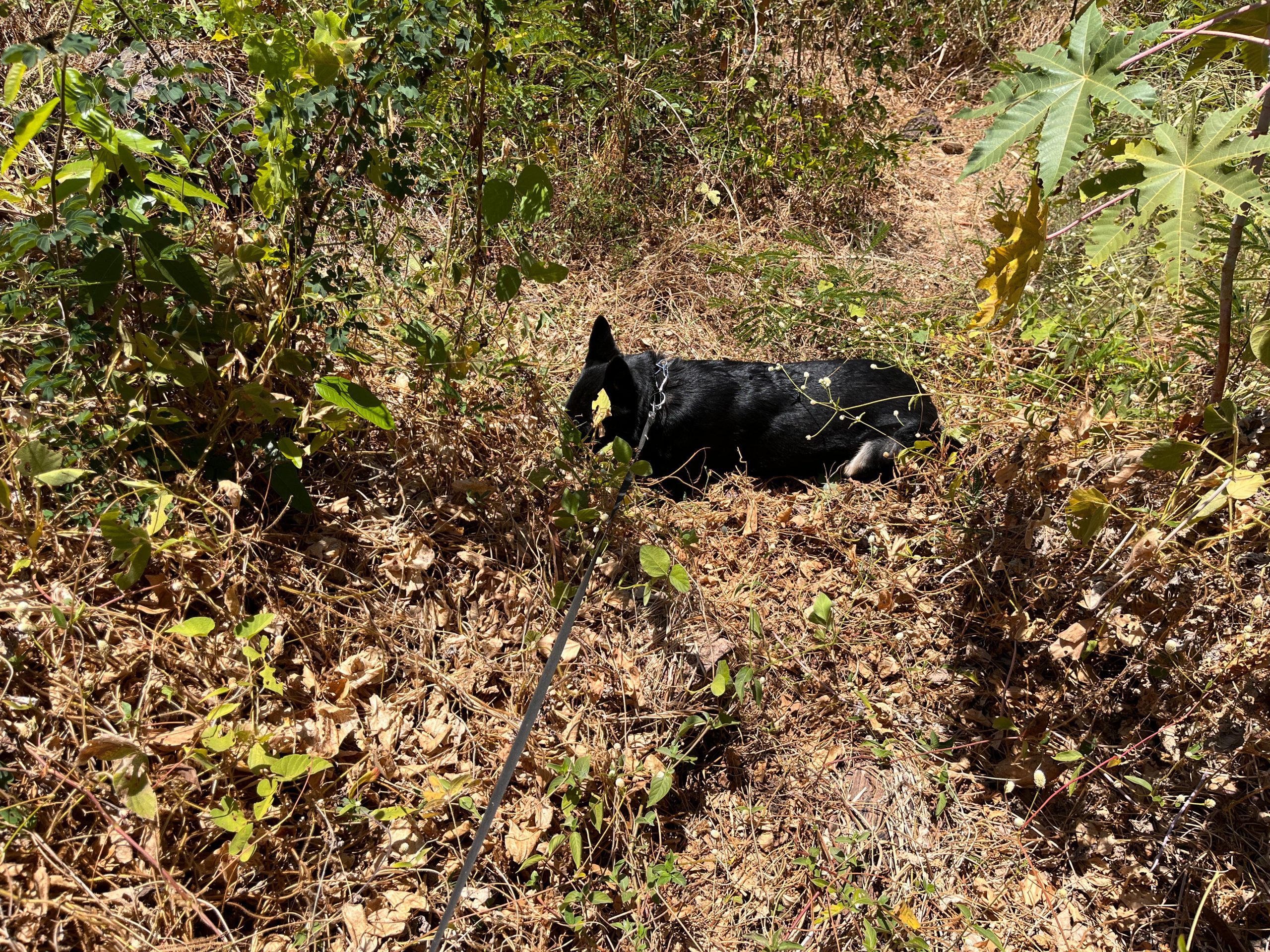 Foto: divulgação/PCMA