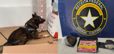 Foto: divulgação/ RECEITA FEDERAL