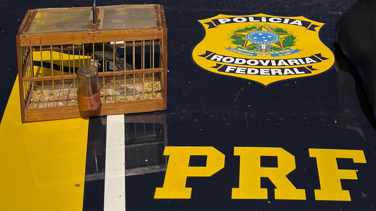 Foto: divulgação PRF