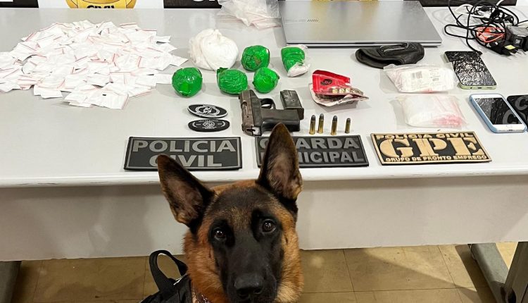 Foto: divulgação/PC-MA