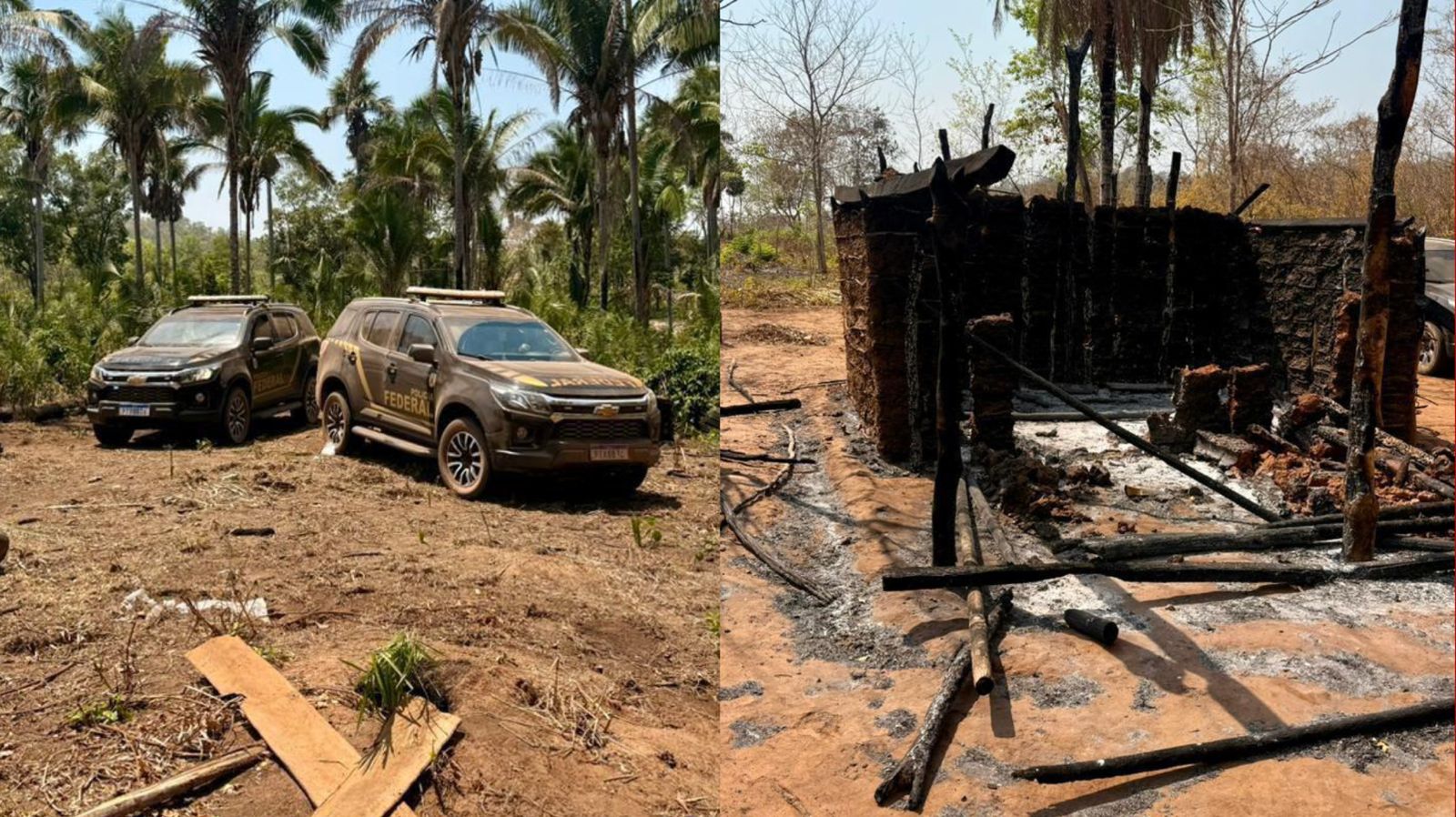 PF investiga ameaças a indígenas e desmatamento ilegal em Grajaú
