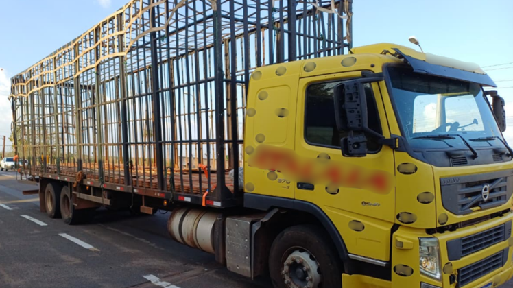 Caminhão é apreendido em Porto Franco por crimes ambientais e transporte irregular de madeira