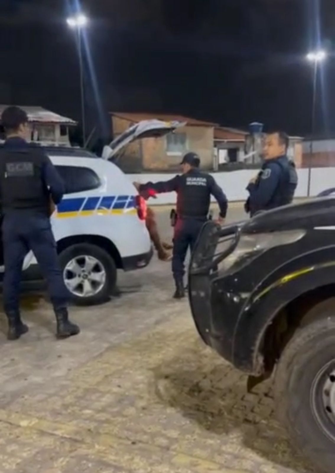 Homem é apresentado na Casa da Mulher Brasileira por aliciar menor em ônibus