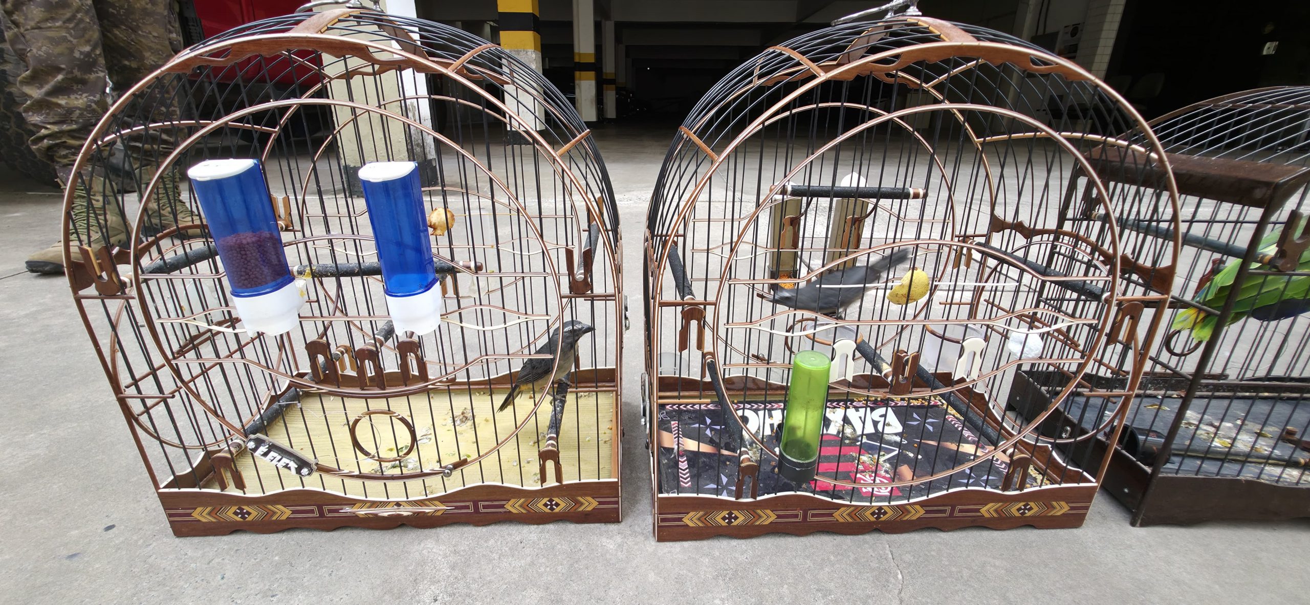 Foto: reprodução/Polícia Civil 