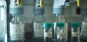 Foto: reprodução internet