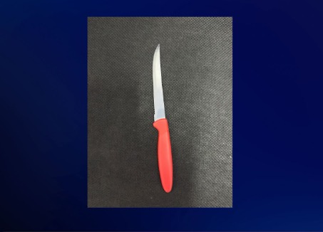 Foto: divulgação/ 10° BPM