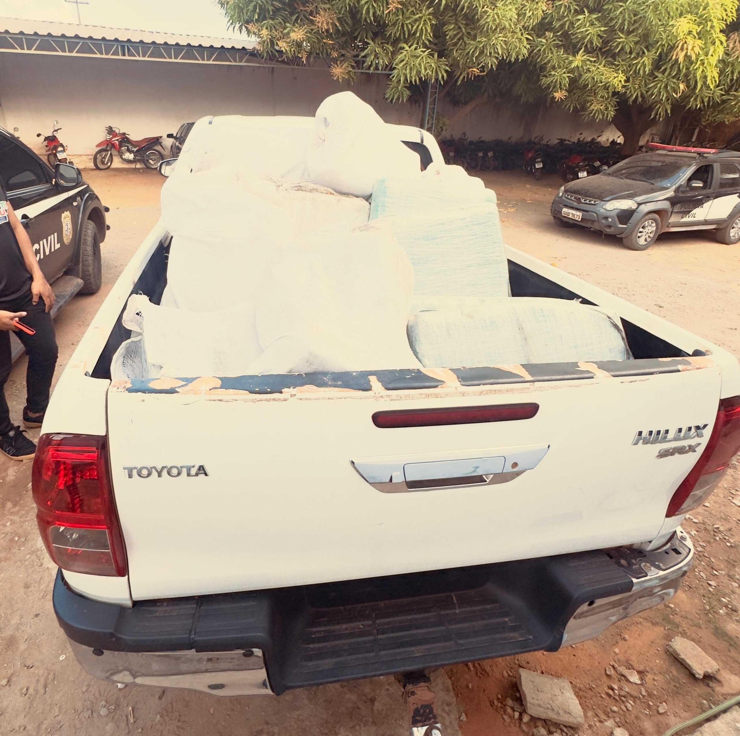 Mais de 4 toneladas de drogas foram apreendidas no Maranhão em 2025