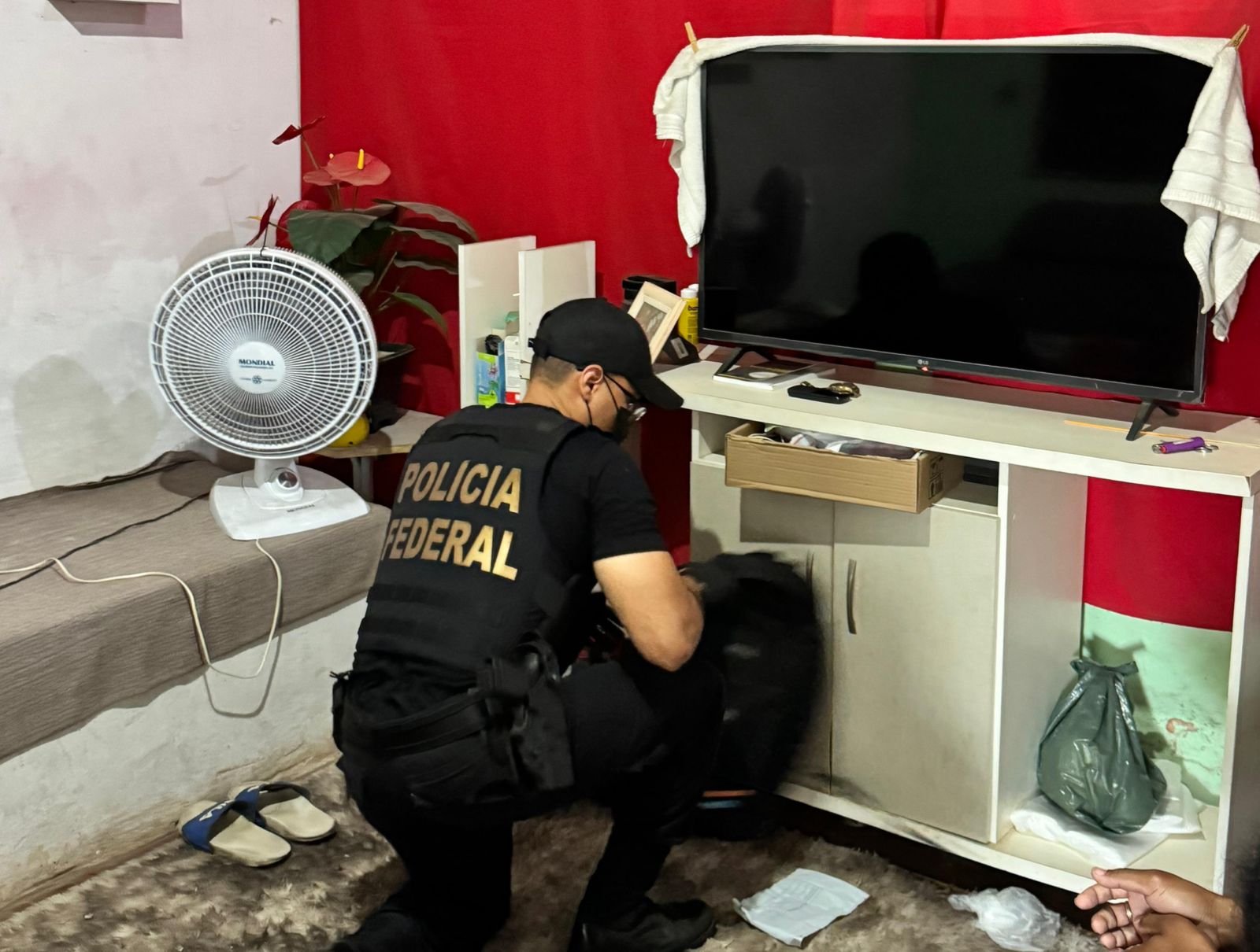 PF investiga fraude milionária no INSS no Maranhão; prejuízo já chega a R$ 1,45 milhão