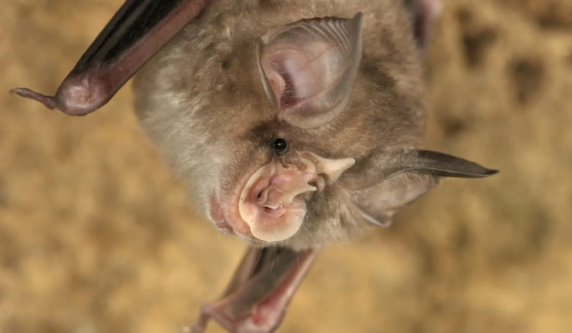 Imagem meramente ilustrativa 