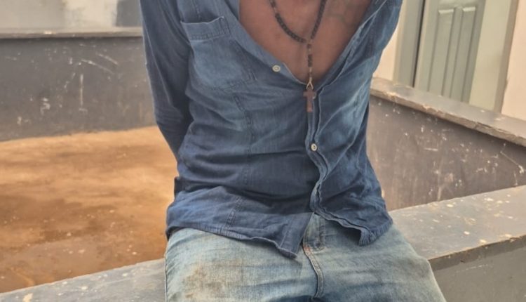 Foto: divulgação/ PCMA