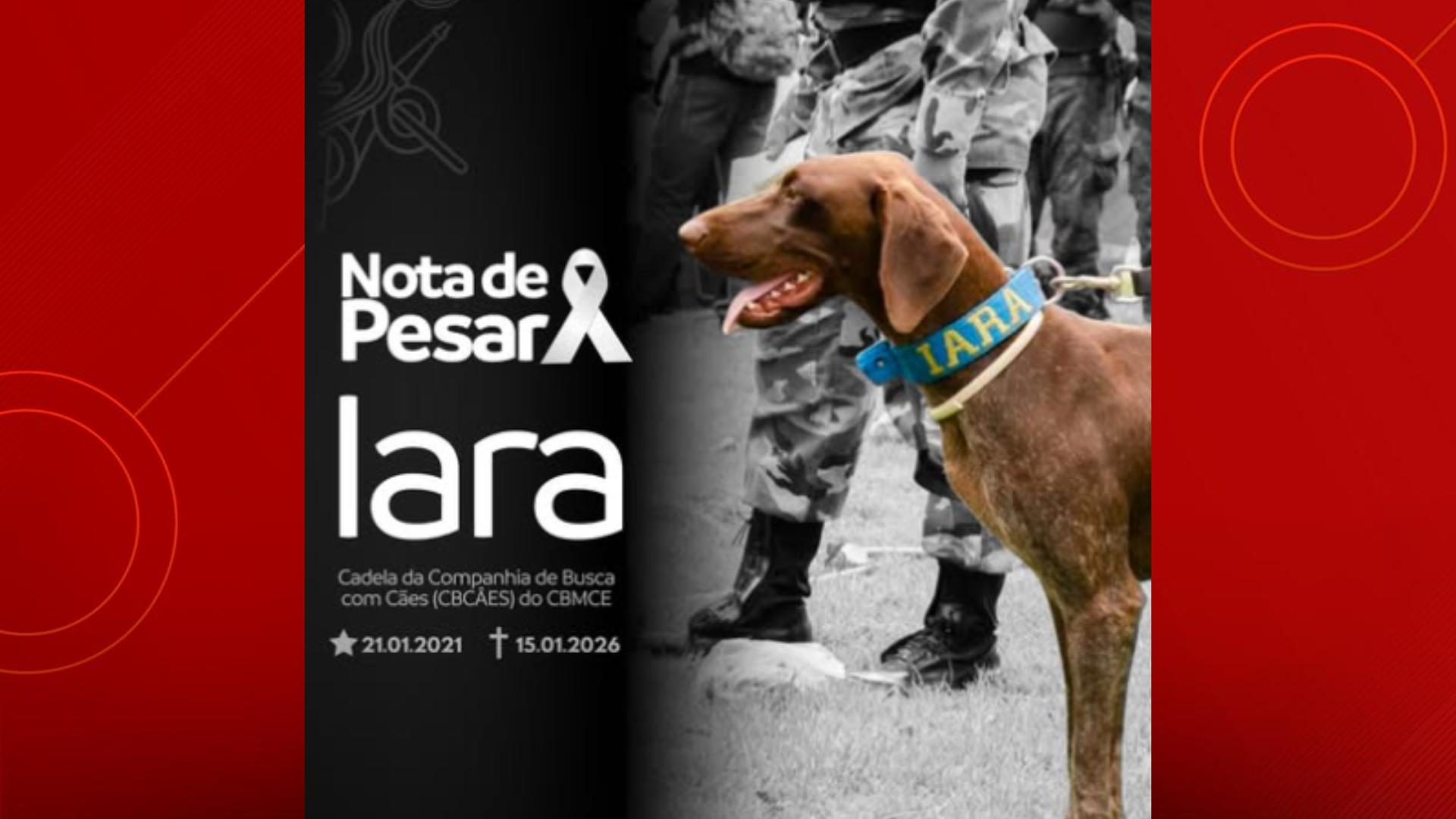 Foto: divulgação/ CBMCE