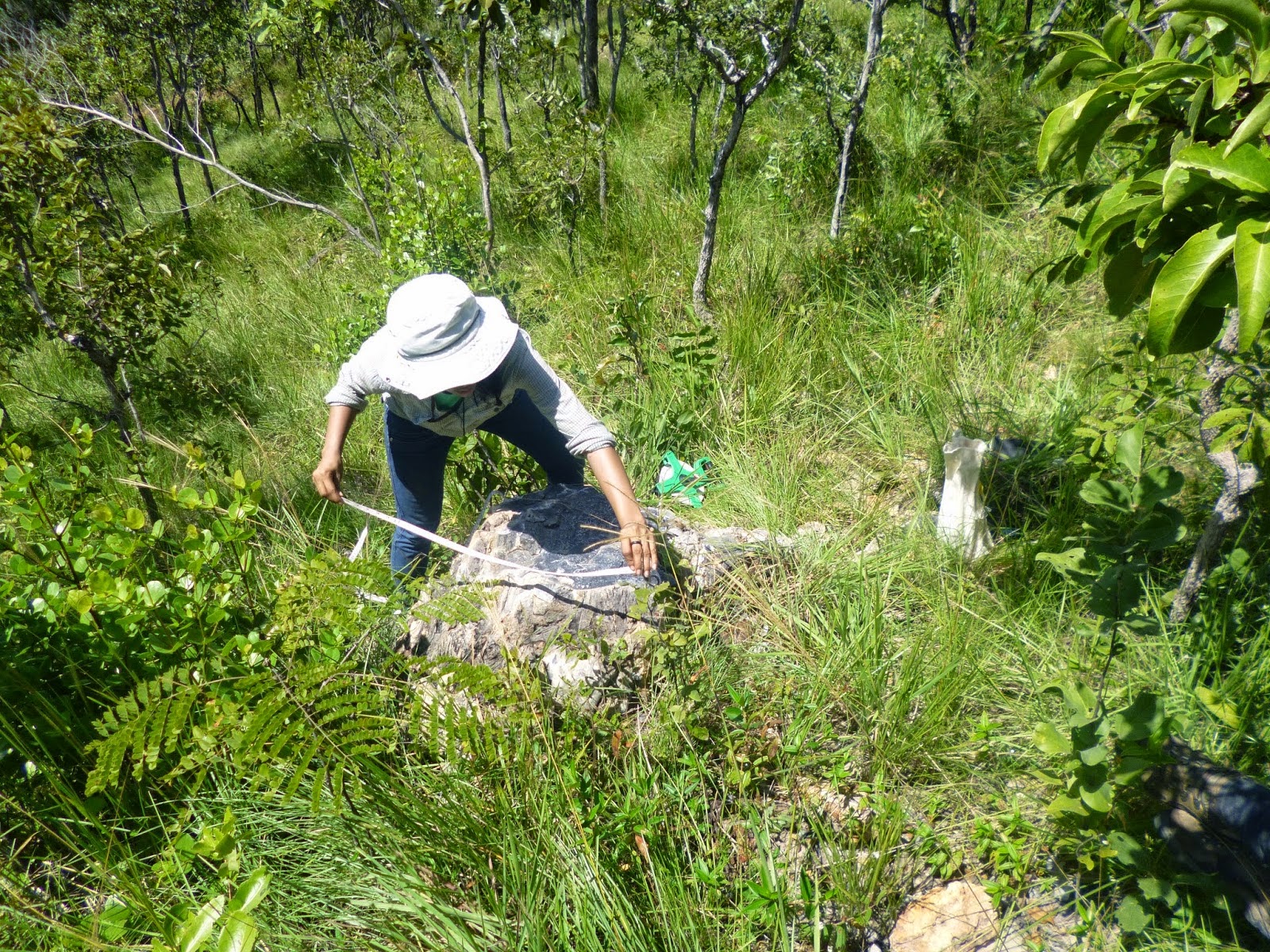 Obras e ocupações irregulares em área de fósseis em Duque Bacelar são suspensas pela Justiça
