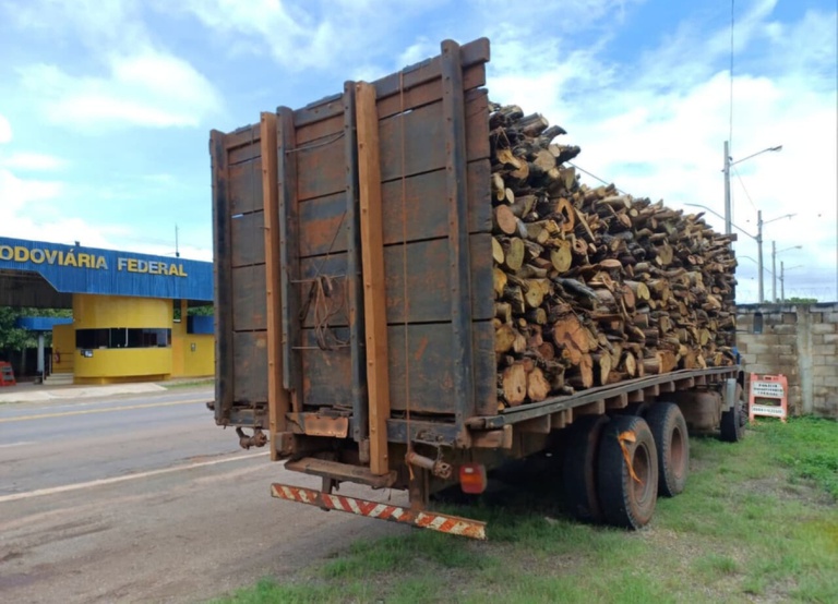 Caminhão com madeira nativa é apreendido na BR-010