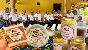 Guardadas pelo Babaçu: mulheres transformam o fruto em renda e resistência no Quilombo Boa Vista