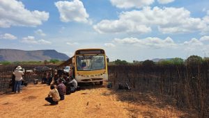 Maranhenses são resgatados de trabalho análogo à escravidão em Goiás