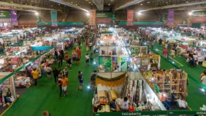 Abertas as inscrições para artesãos participarem da Fenearte 2025